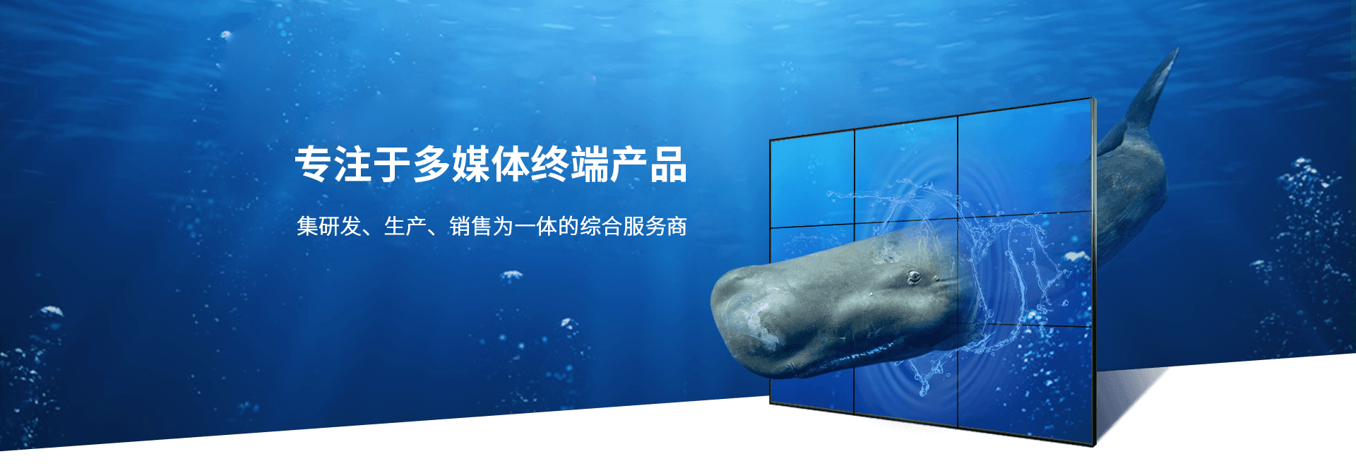 点坤科技