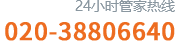 020-38806640