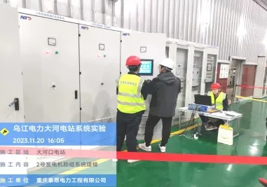 电厂涉网试验