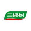 三棵树网站建设