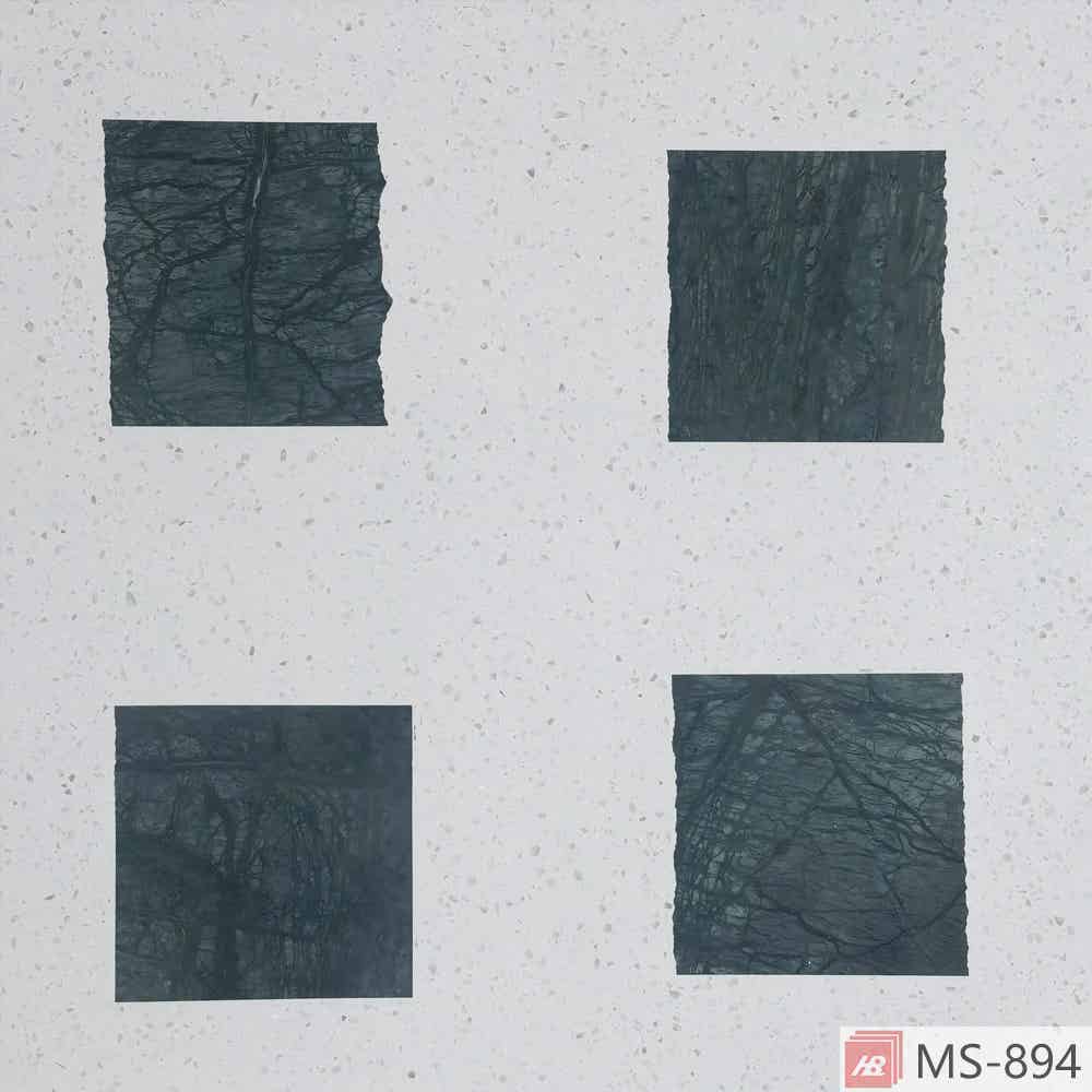 MS-894